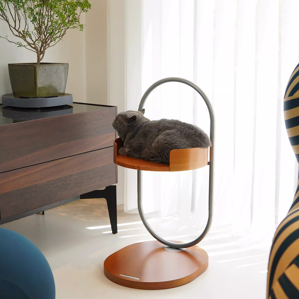 Height Object #4: "The O"