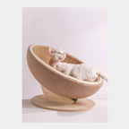 Habitat Object #3: "The Cradle"