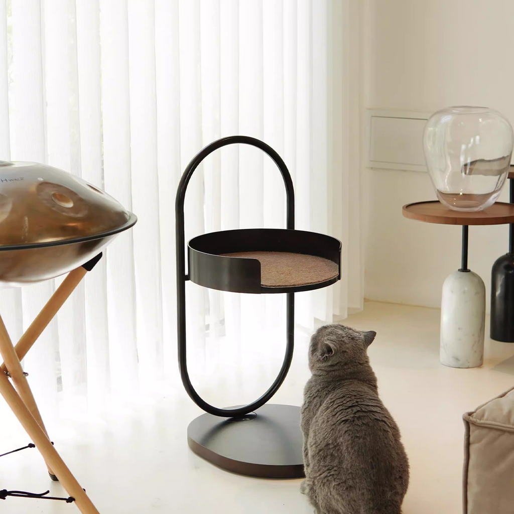 Height Object #4: "The O"