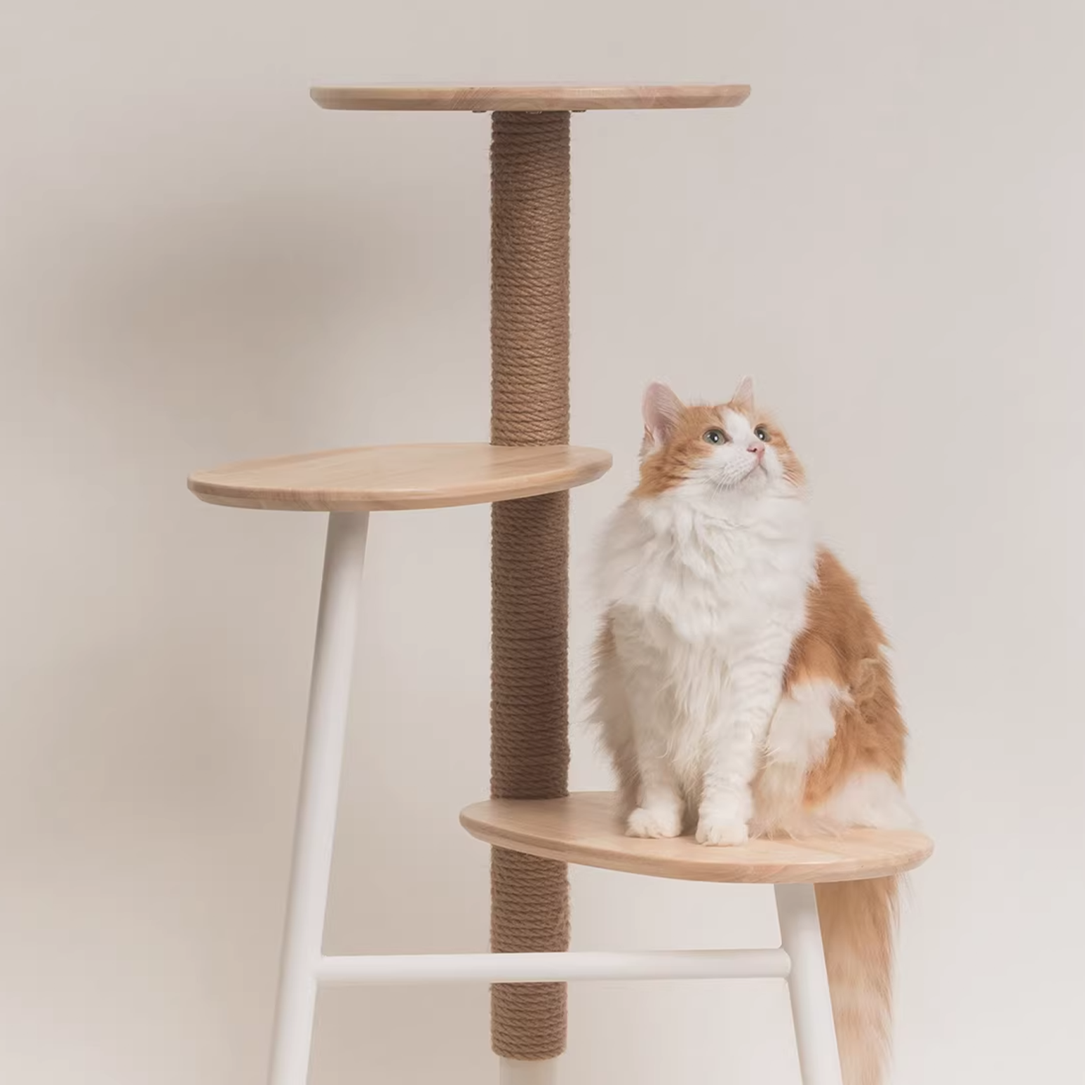 Height Object #3: "The Lean"