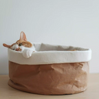 Habitat Object #7: "The Brown Bag"