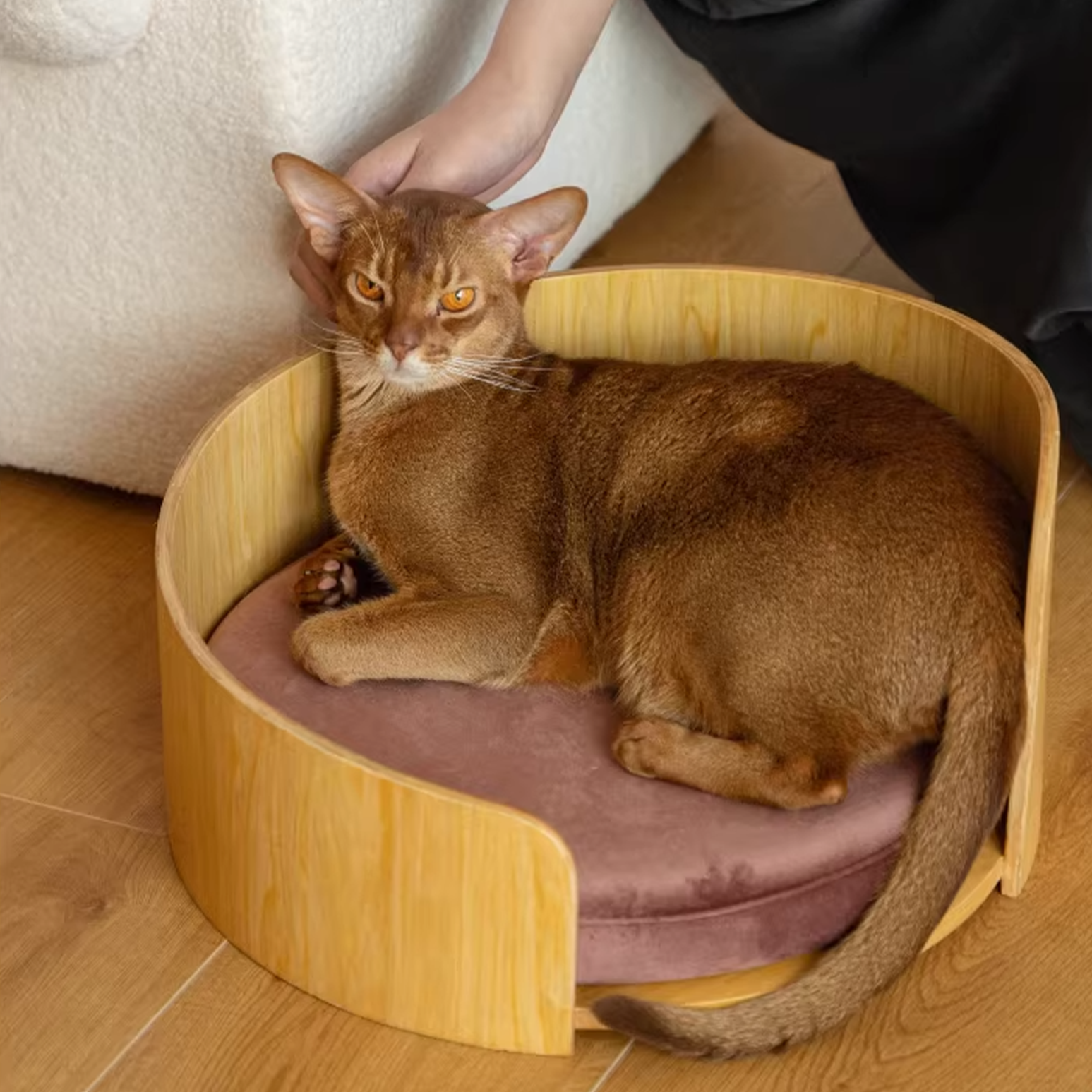 Habitat Object #2: "The Cove"