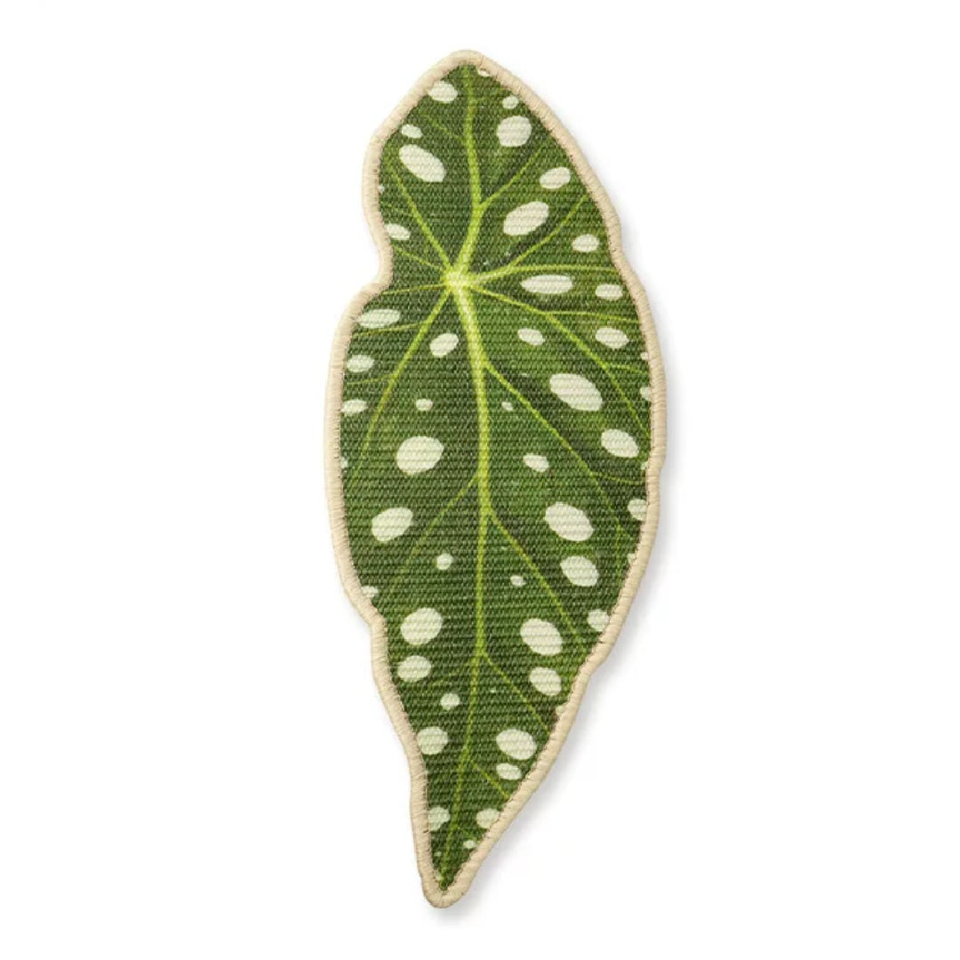 Miscellaneous Object #6: "The Tropical Leaves"