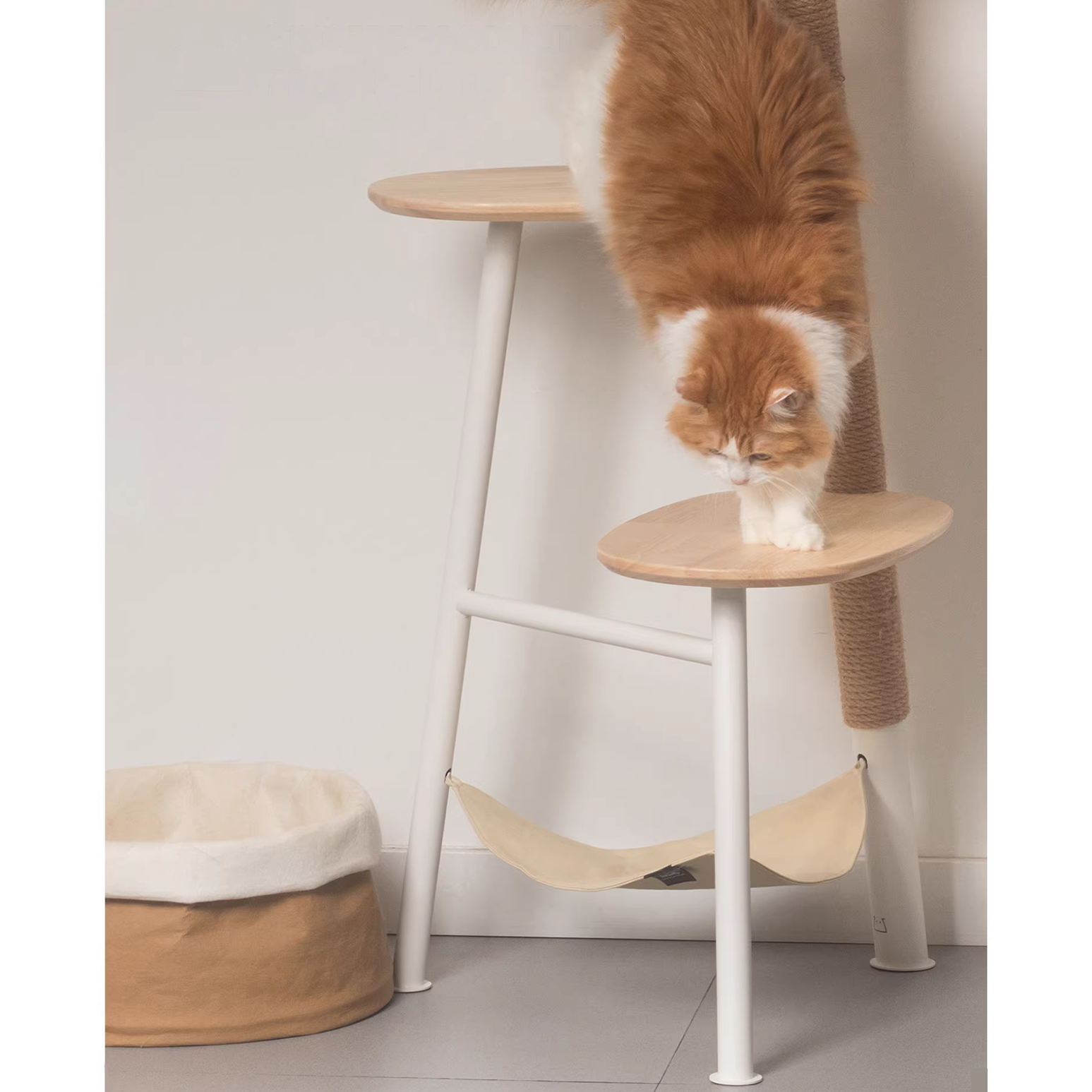 Height Object #3: "The Lean"