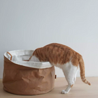 Habitat Object #7: "The Brown Bag"