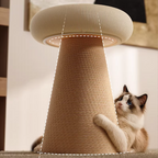 Height Object #5 / Habitat Object #1: "The Plinth"