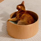 Habitat Object #2: "The Cove"