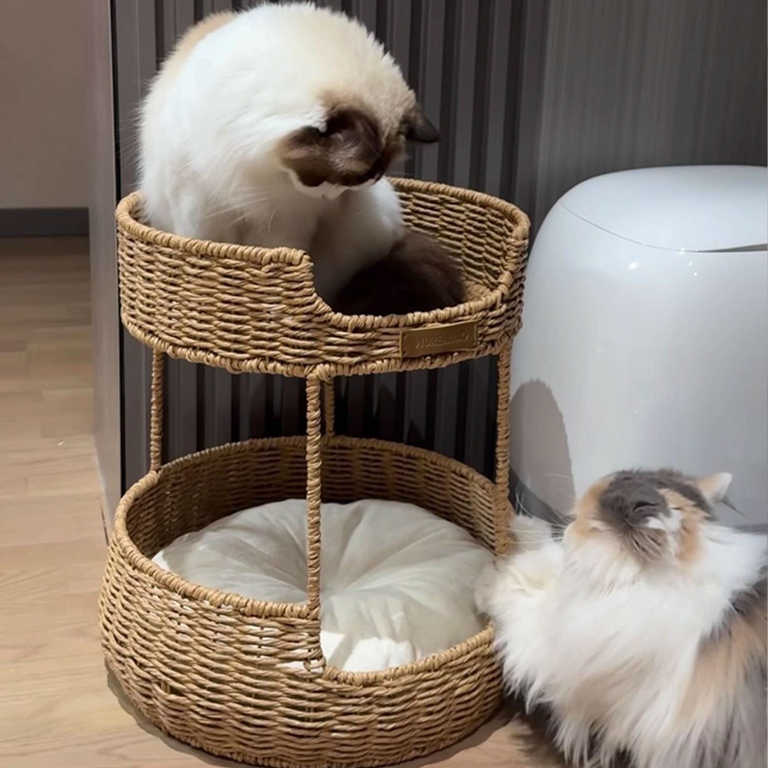 Hybrid Object #2: "The Hearth"