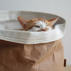 Habitat Object #7: "The Brown Bag"