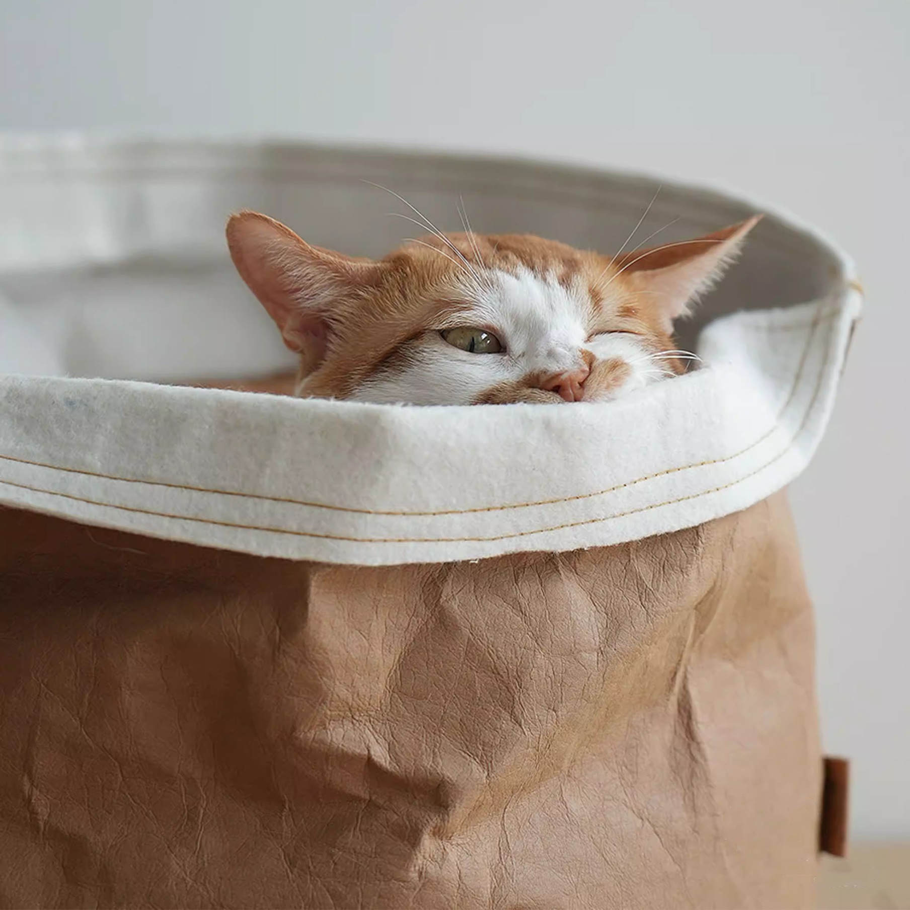 Habitat Object #7: "The Brown Bag"