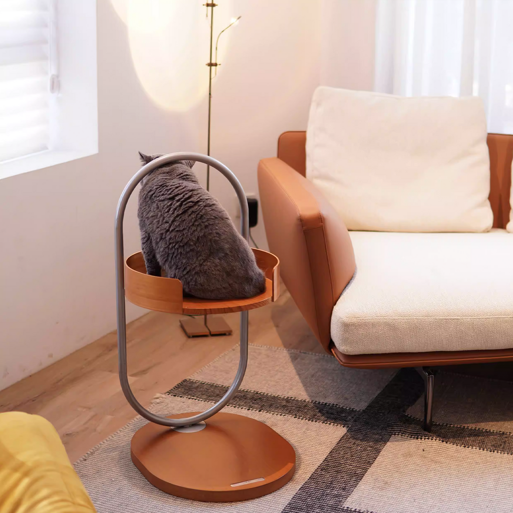 Height Object #4: "The O"