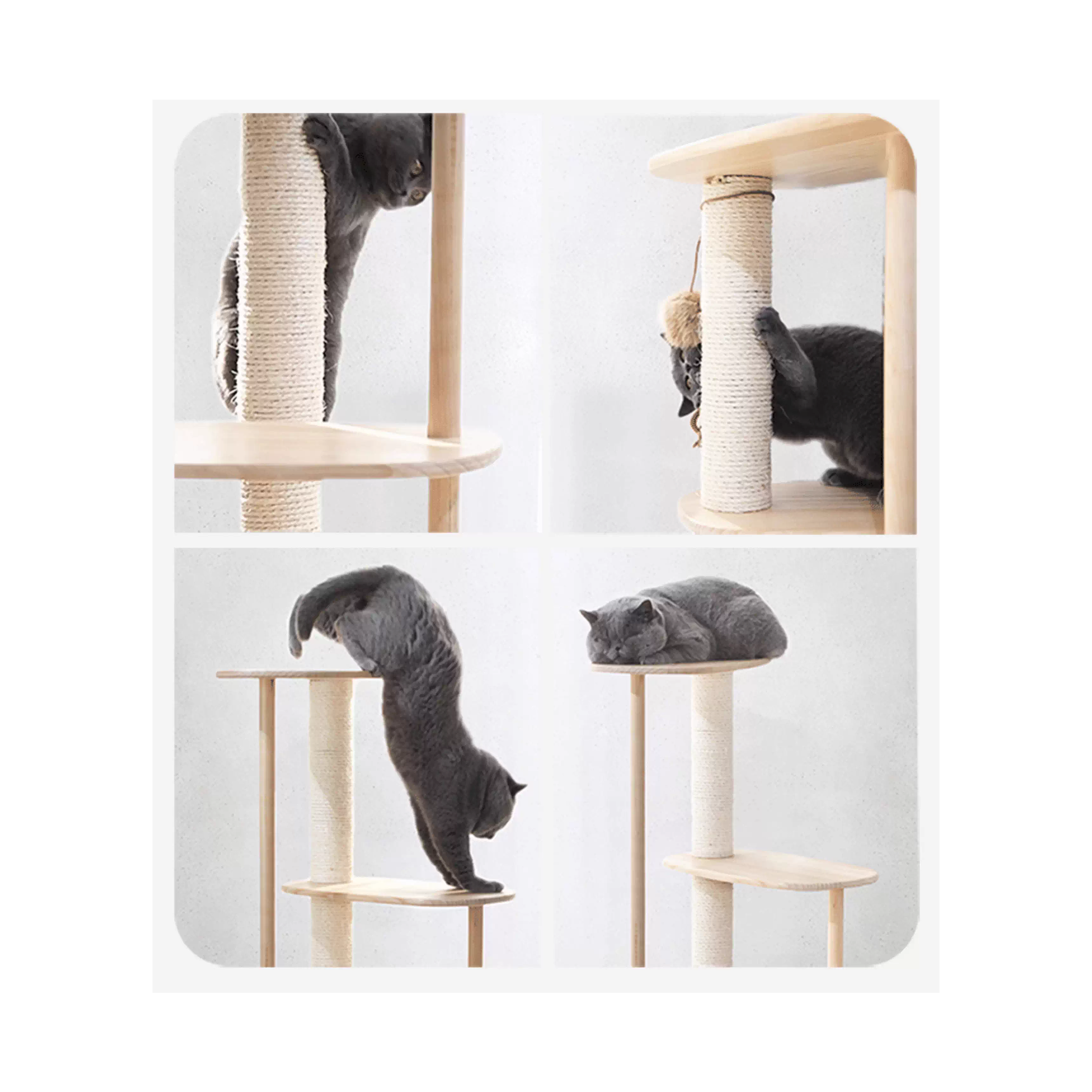 Height Object #2: "The Tier"