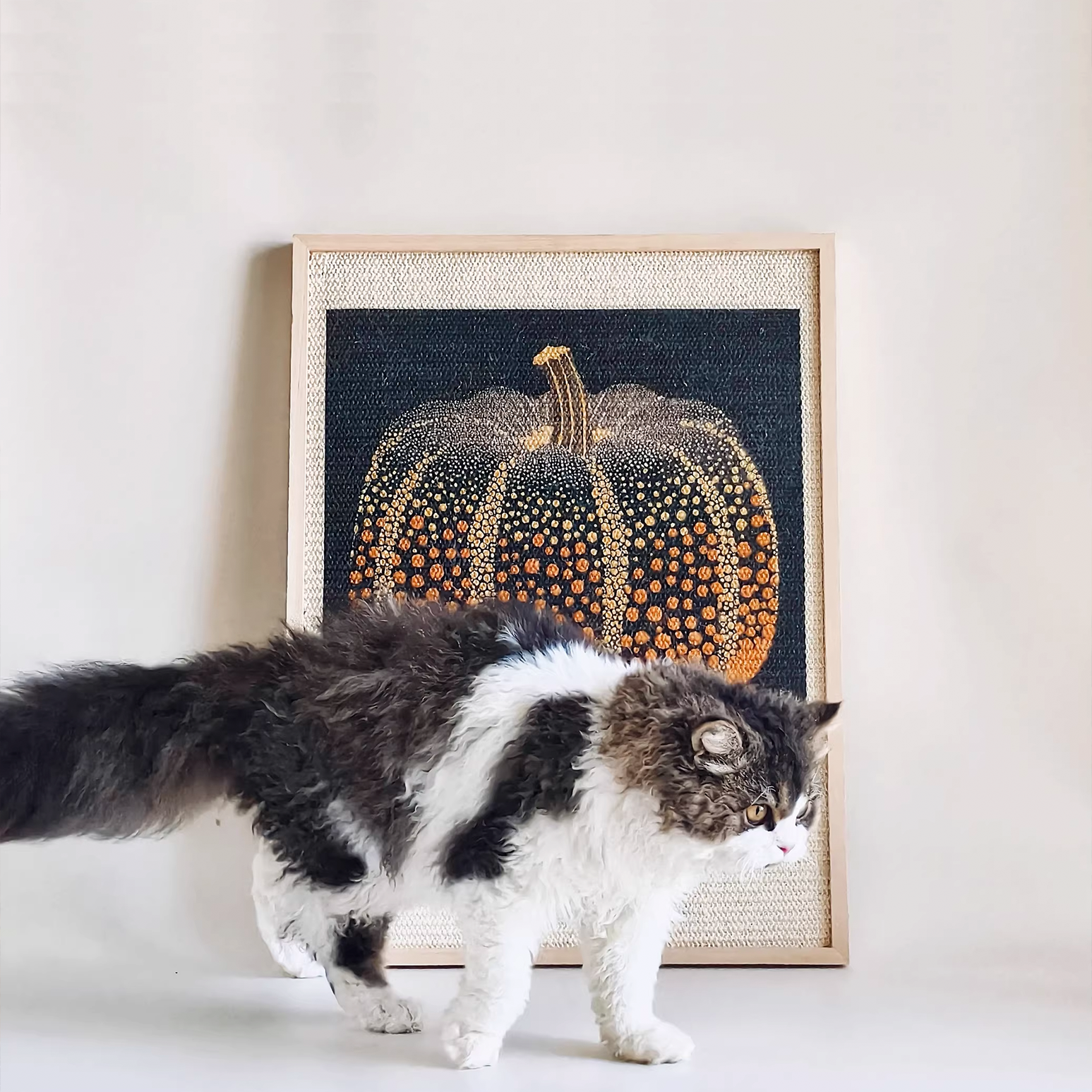 Miscellaneous Object #1: "The Still Life"