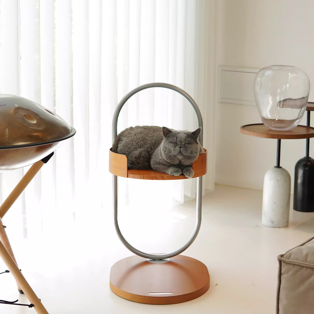 Height Object #4: "The O"