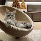 Habitat Object #3: "The Cradle"