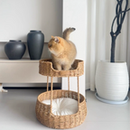 Hybrid Object #2: "The Hearth"