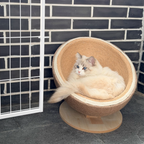 Habitat Object #3: "The Cradle"