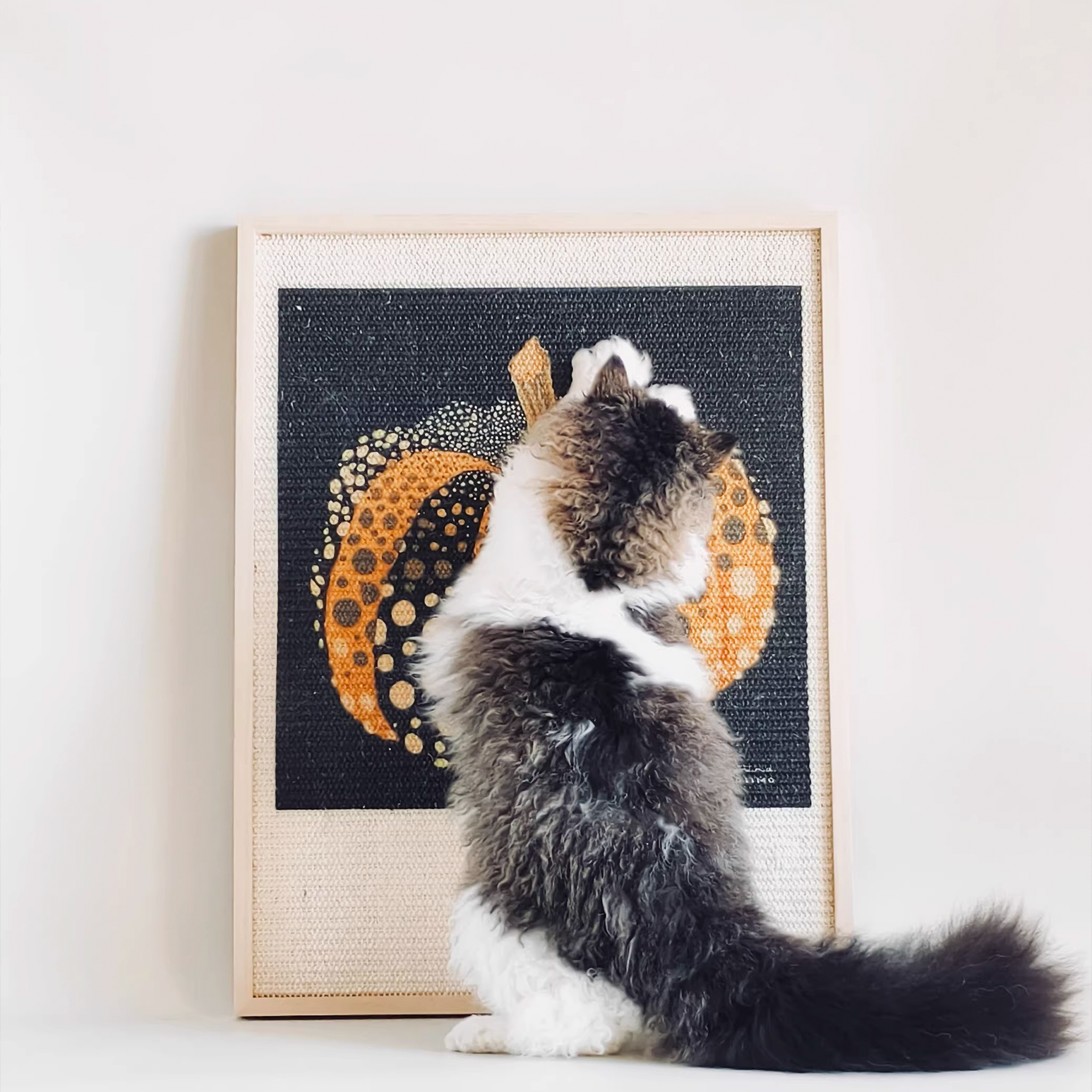 Miscellaneous Object #1: "The Still Life"