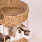 Hybrid Object #2: "The Hearth"