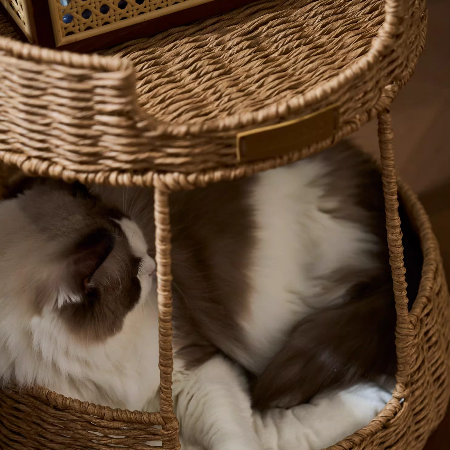 Hybrid Object #2: "The Hearth"