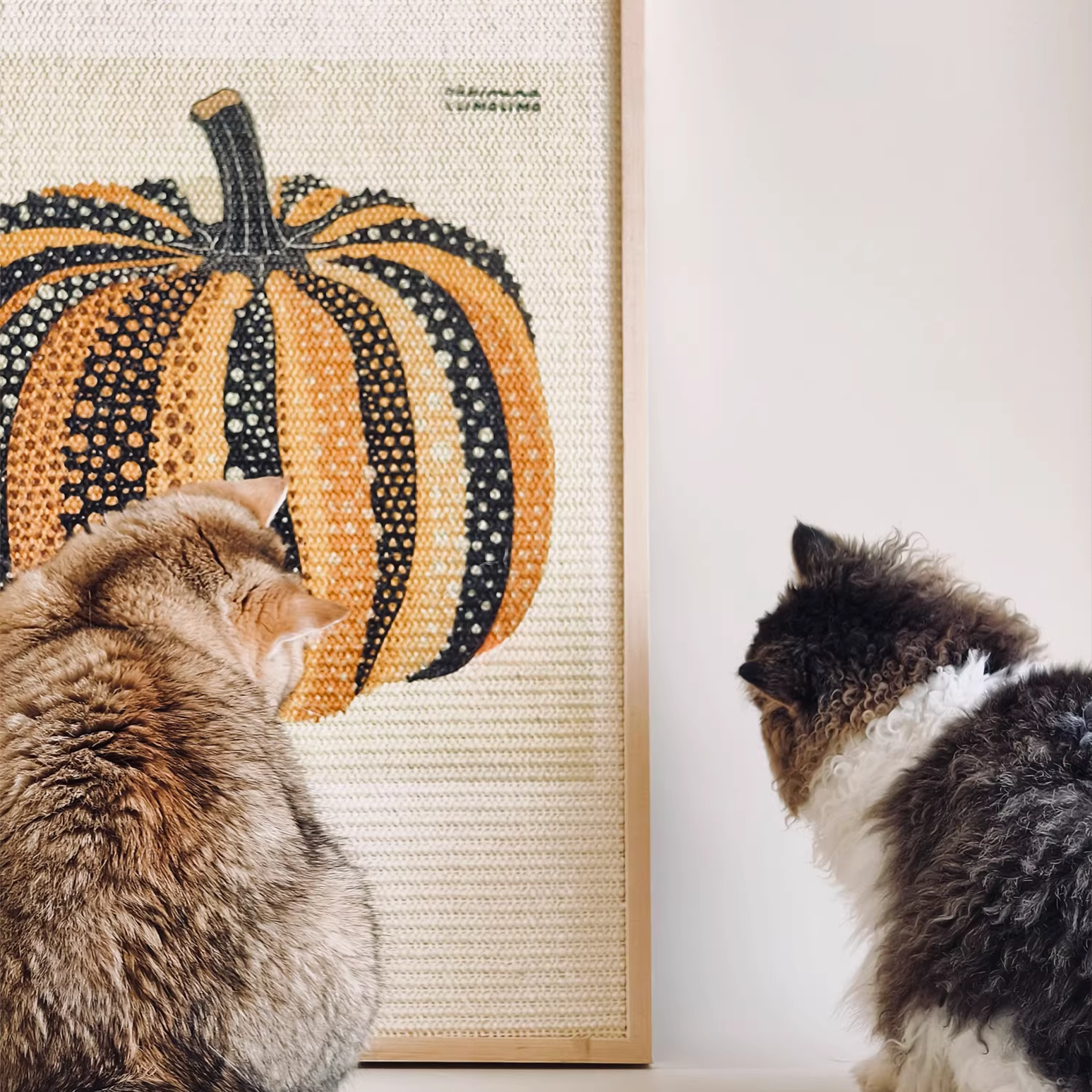 Miscellaneous Object #1: "The Still Life"