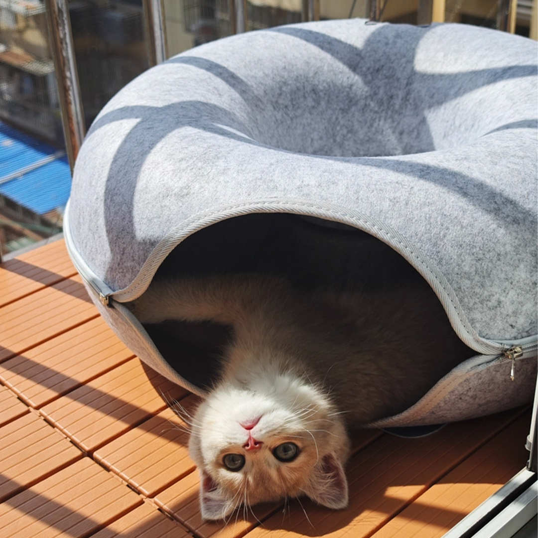 Habitat Object #10: "The Hideout"