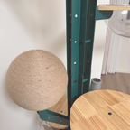 Height Object #1: "The Saguaro"