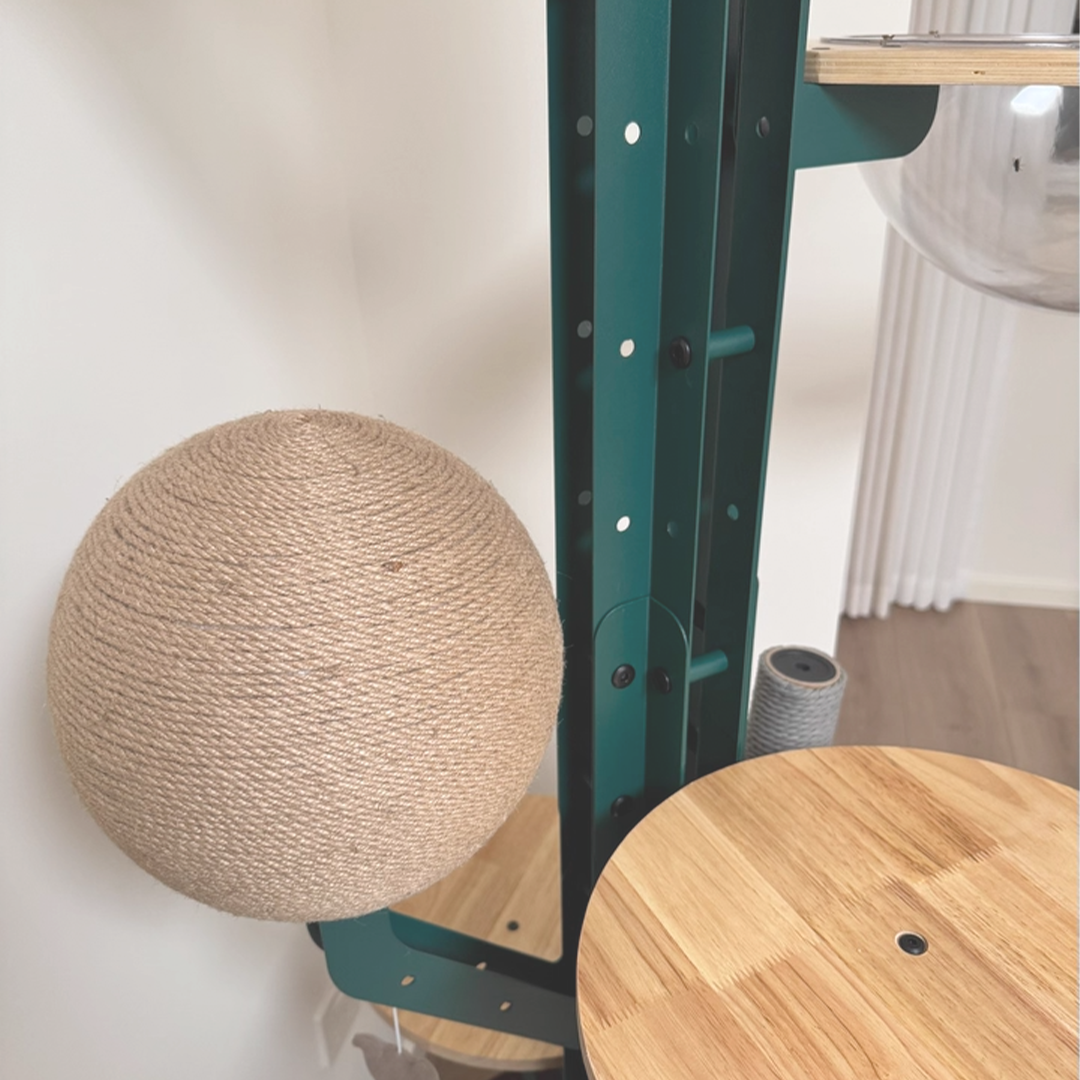 Height Object #1: "The Saguaro"