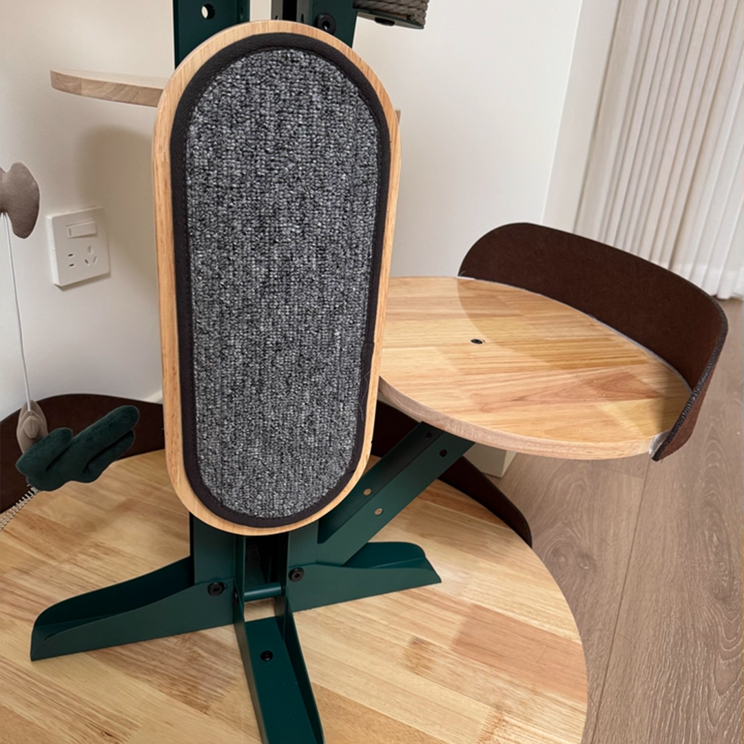 Height Object #1: "The Saguaro"