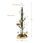 Height Object #1: "The Saguaro"