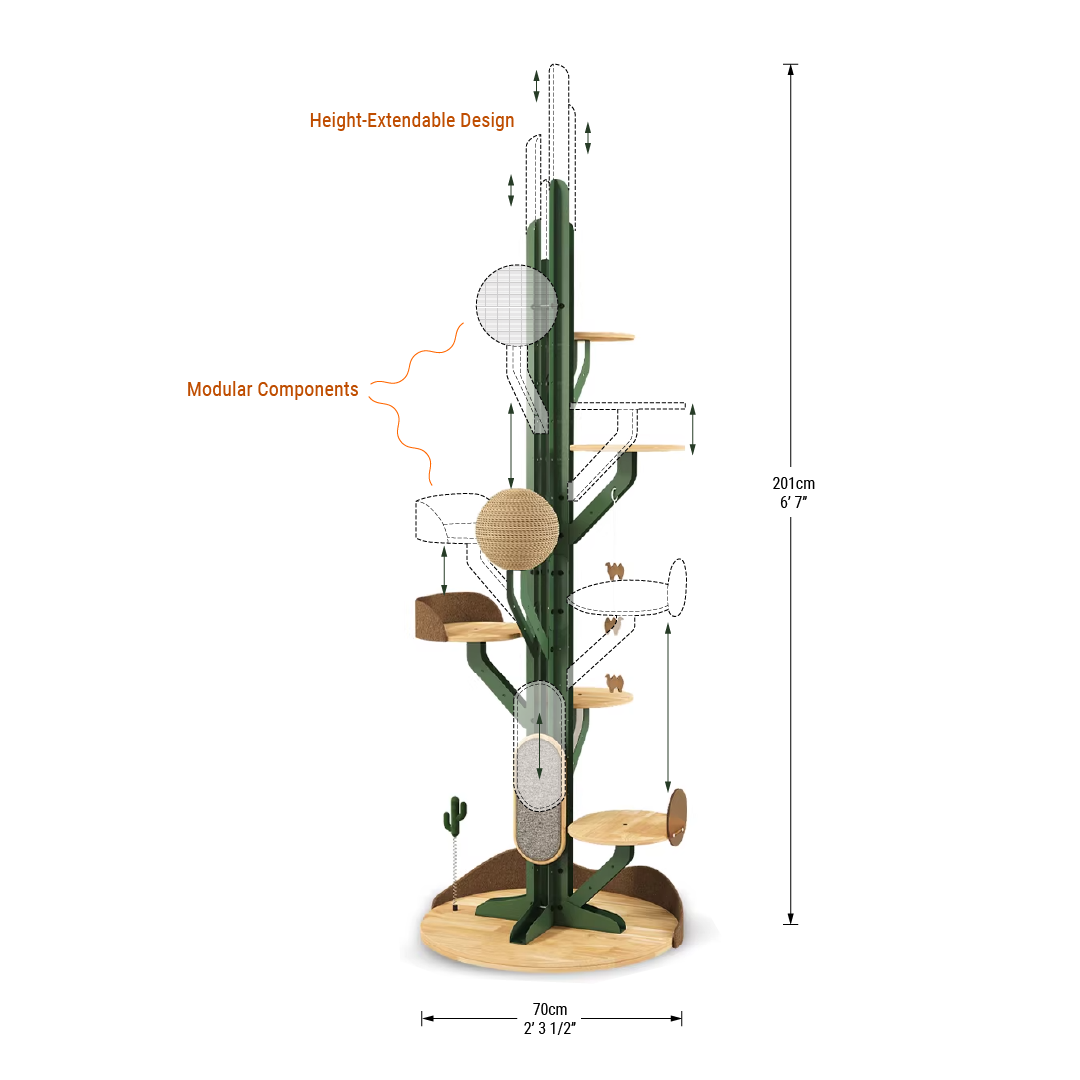 Height Object #1: "The Saguaro"