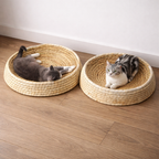 Two cats in round woven pet beds 