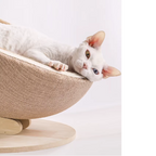 Habitat Object #3: "The Cradle"