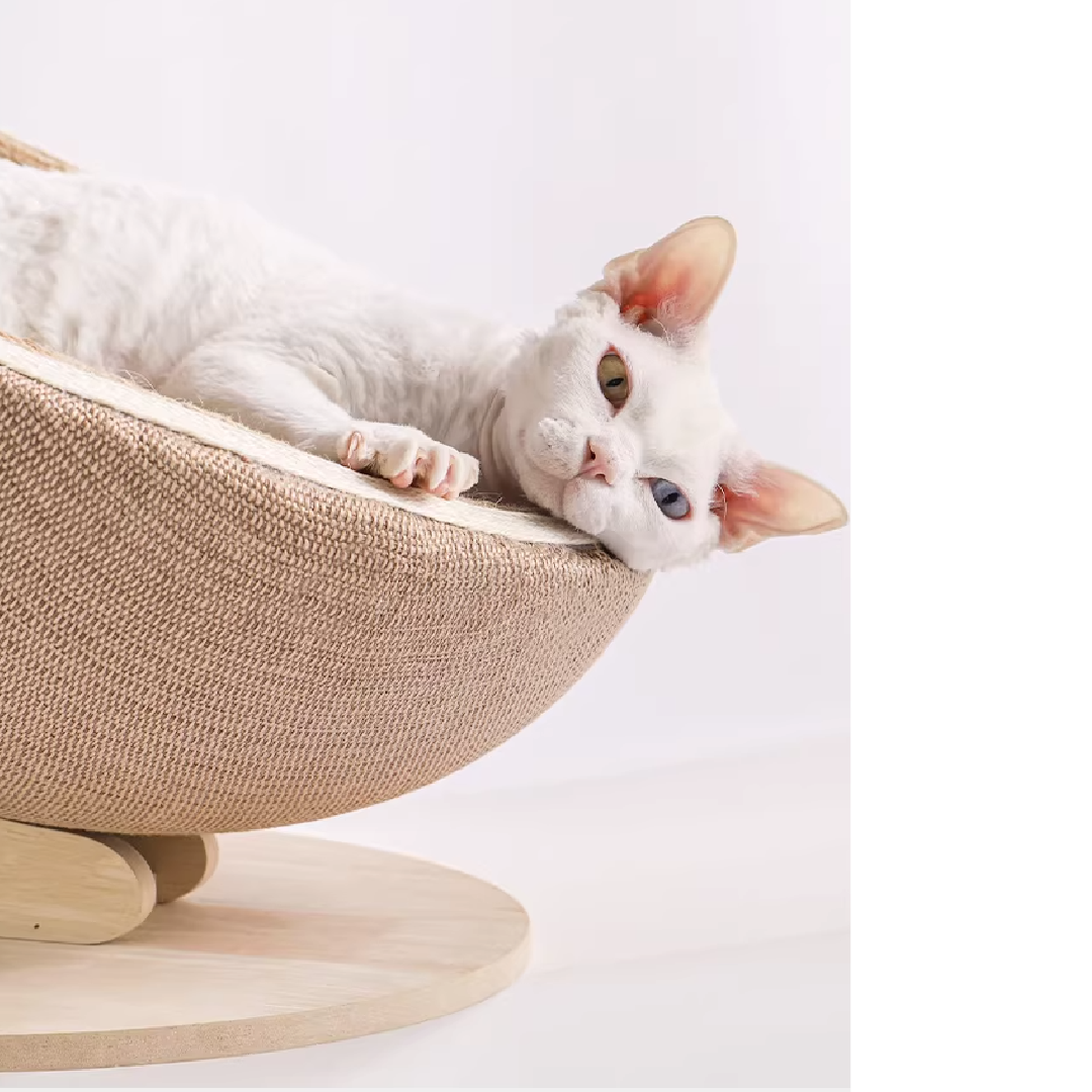 Habitat Object #3: "The Cradle"
